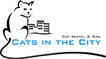 cats in the city